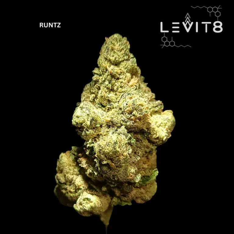 1-RUNTZ