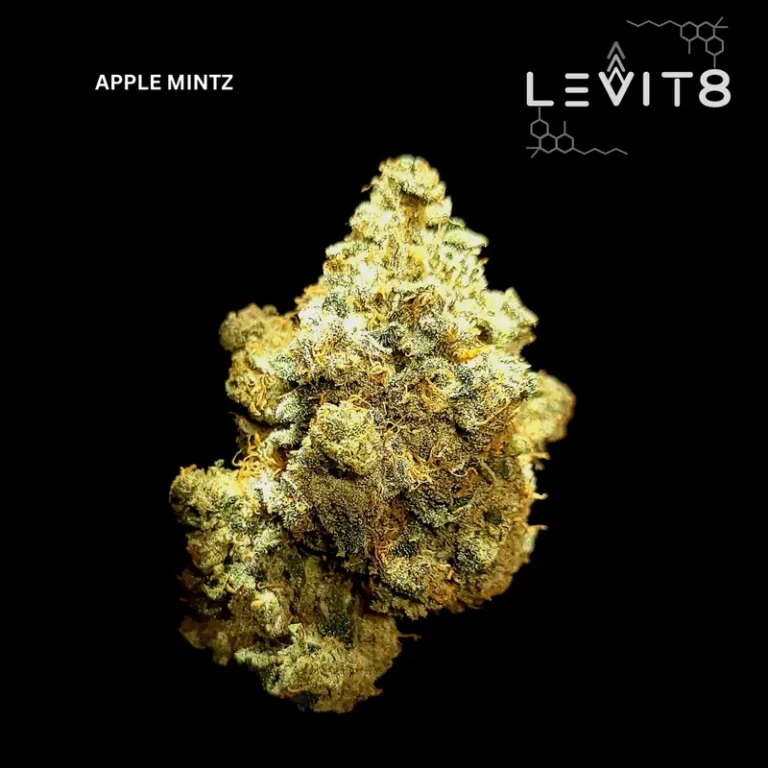 11-APPLE_MINTZ