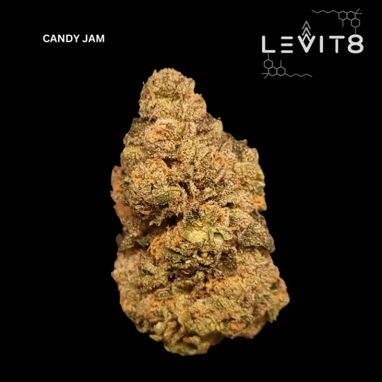 13-CANDY_JAM