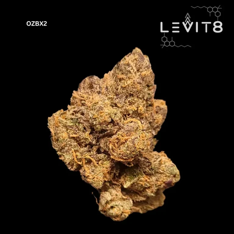 17-OZBX2