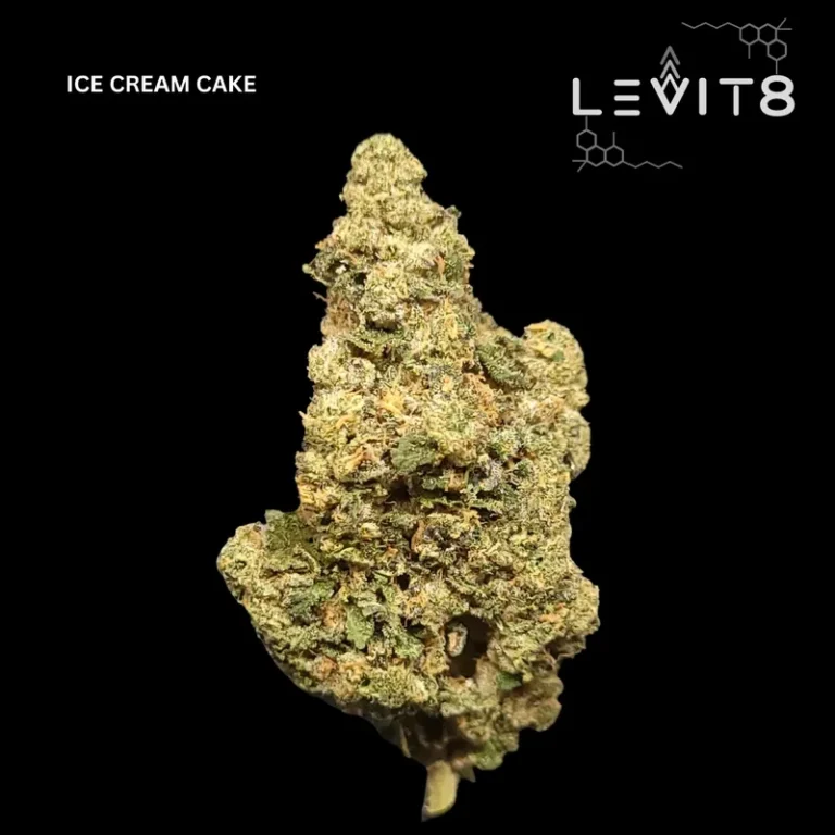 19-ICE_CREAM_CAKE