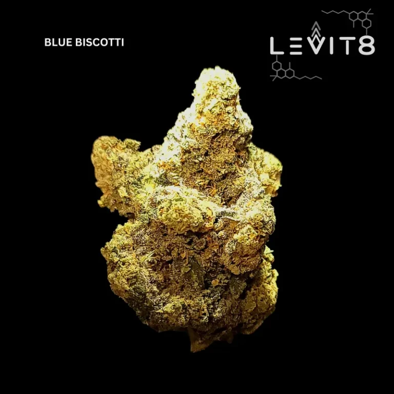 4-BLUE_BISCOTTI
