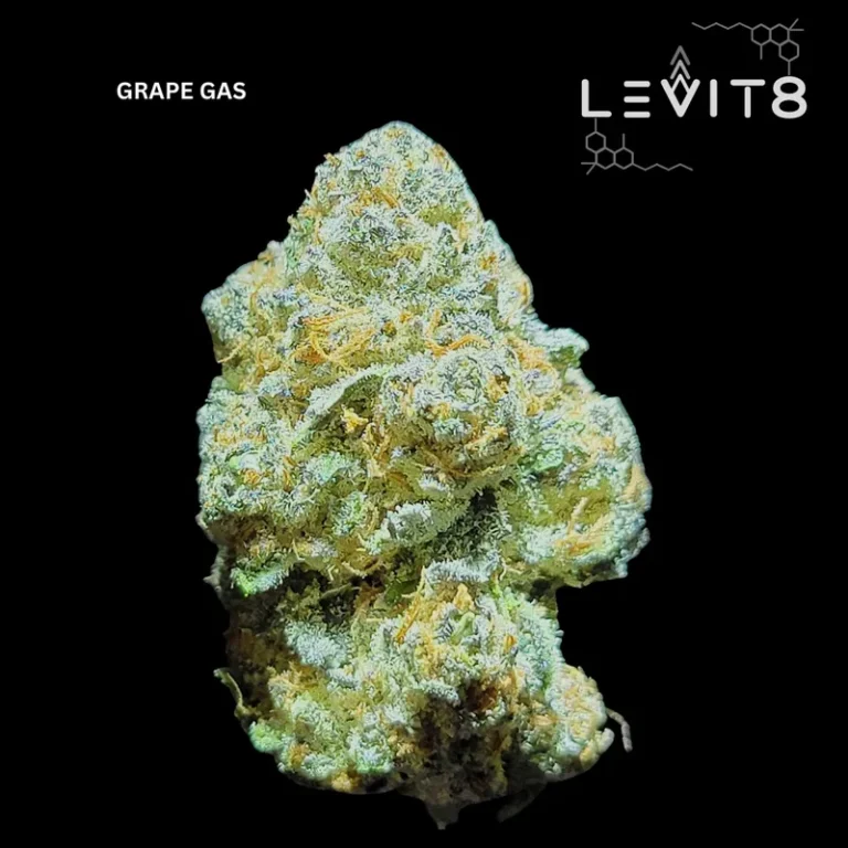 5-GRAPE_GAS