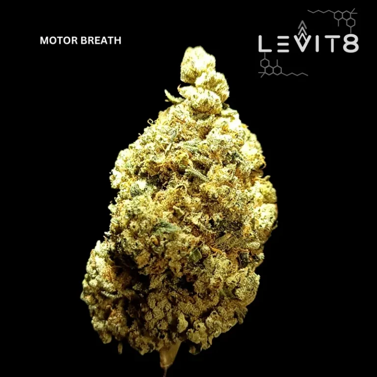 6-MOTOR_BREATH